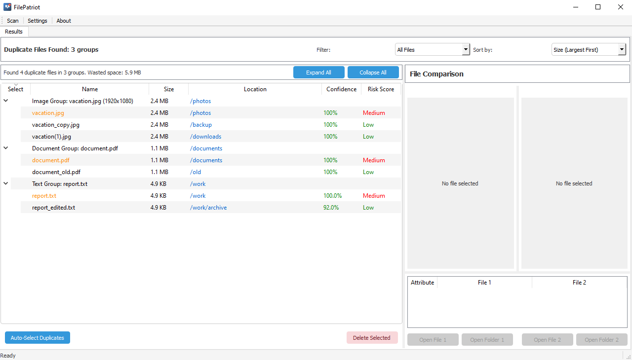 FilePatriot application interface showing duplicate file management